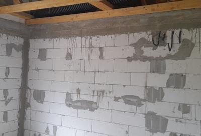 Casă cu 3 camere în Izvor - 2