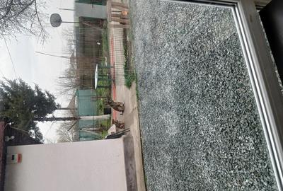 Casă cu Teren 7000 Mp în Pelinu - 4