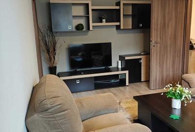 Apartament cu 2 camere semidecomandat, mobilat în Baba Novac - 5