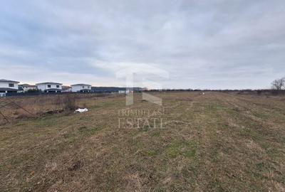 Teren Construcții intravilan de 809 mp, în Corbeanca - 4