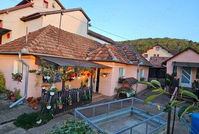 Casă cu 2 camere în Dezmir - 1