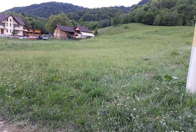 Teren de 10500 mp, în Central - 6