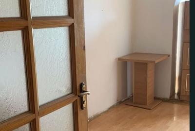 Apartament cu 2 camere în Buziașului