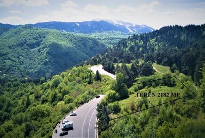 Teren Construcții intravilan de 2182 mp, în Drumul Poienii - 3
