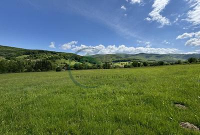 Teren Construcții intravilan de 34602 mp, în Valea Dobârlăului - 5