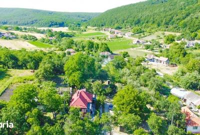 Casă cu 3 camere cu Teren 3245 Mp în Vultureni - 7