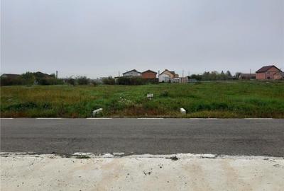 Teren în Frumușeni - 1