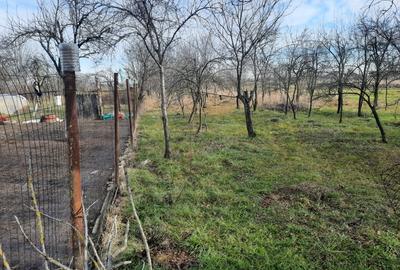 Teren în Mânăstioara - 2