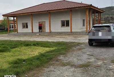Casă cu Teren 1400 Mp în Valea Nucarilor - 17