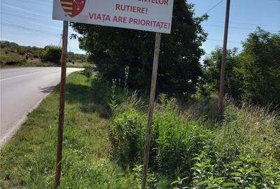 Teren de 4200 mp, în Nord - 3