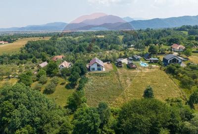 Casă individuală cu 5 camere cu Teren 2481 Mp în Sohodol - 9