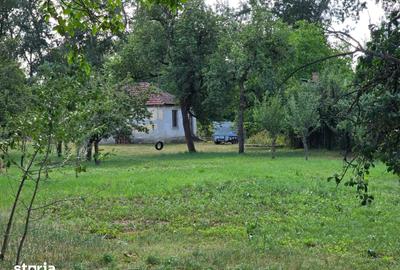 Teren de 3562 mp, în Bercu Roșu