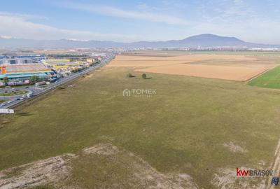 Teren Construcții intravilan de 5337 mp, în Bartolomeu - 6
