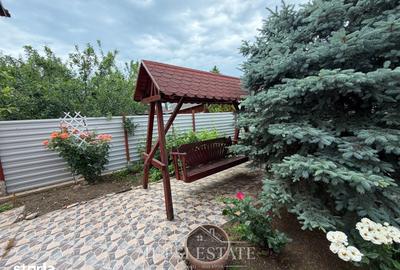 Casă cu 3 camere cu Teren 1210 Mp în Tinosu - 2