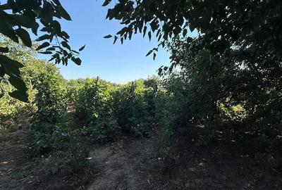 Teren de 1200 mp, în Greaca