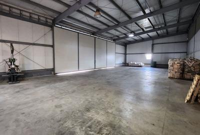 Spațiu industrial, de 5,926 mp, în Tomnatic - 13