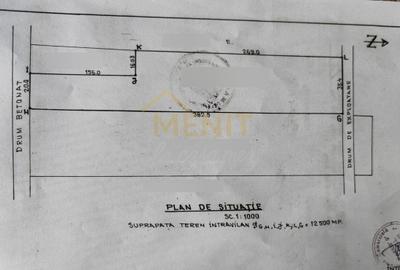 Teren Construcții intravilan de 12500 mp, în Drajna de Sus - 2