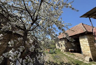 Casă cu 4 camere cu Teren 470 Mp în Podeni - 5