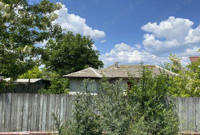 Casă cu Teren 1030 Mp în Ograda - 7