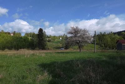 Teren de 5000 mp, în Dorna-Arini