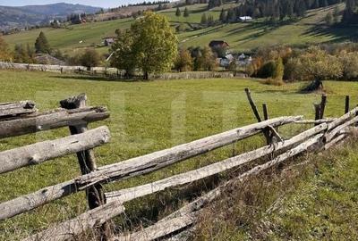 Casă cu 3 camere în Pleșa