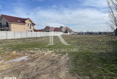 Teren de 1000 mp, în Nufărul - 2