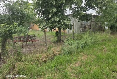 Teren de 3400 mp, în Copăceanca
