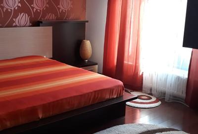 Casă individuală cu 6 camere cu Teren 500 Mp în Pantelimon - 16
