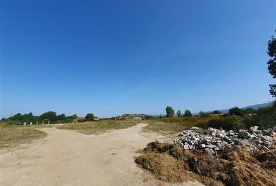 Teren Construcții intravilan de 5000 mp, în Movilei - 4