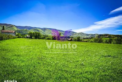 Teren de 1000 mp, în Sadu