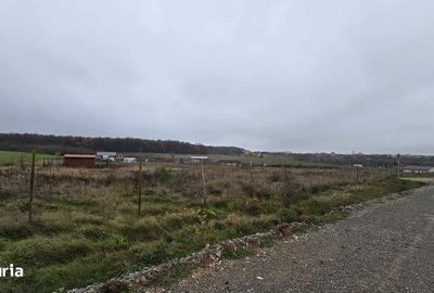 Teren de 530 mp, în Nojorid - 1