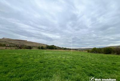 Teren Construcții intravilan de 800 mp, în Sopor - 4