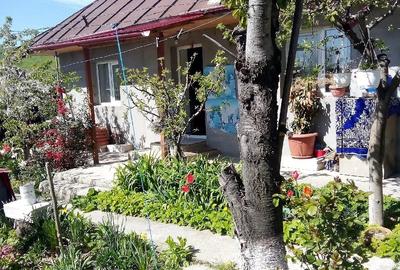 Casă în Mironeasa - 2