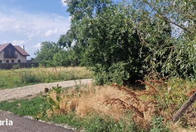 Teren de 950 mp, în Sinești