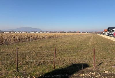 Teren Construcții intravilan de 6000 mp, în Stupini