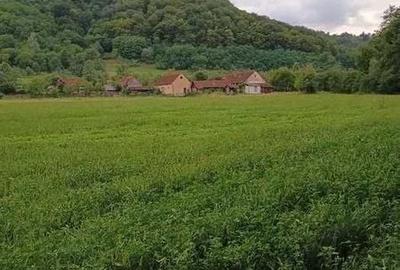 Casă cu 4 camere cu Teren 220 Mp în Petriș