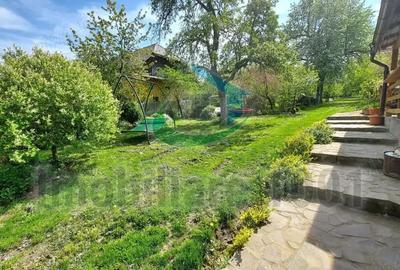 Casă cu 4 camere cu Teren 2431 Mp în Curtuiușu Mare - 9