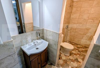 Apartament cu 2 camere semidecomandat, mobilat în Cetate - 4