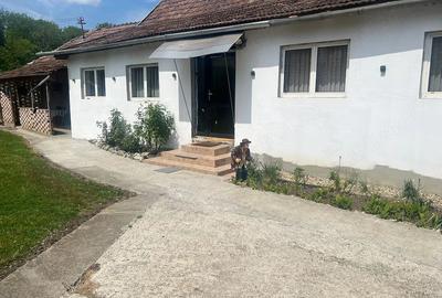 Casă cu 3 camere cu Teren 2300 Mp în Cucerdea - 4