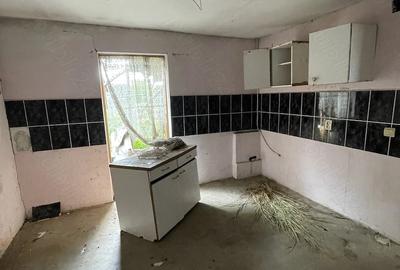 Casă cu Teren 2250 Mp în Brăniștari - 2