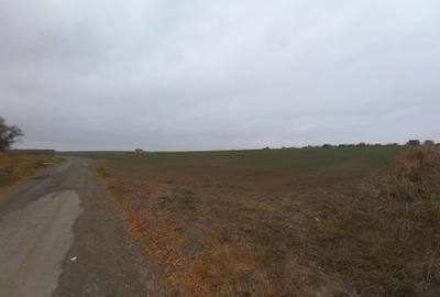 Teren Construcții intravilan de 403 mp, în Valu lui Traian - 1