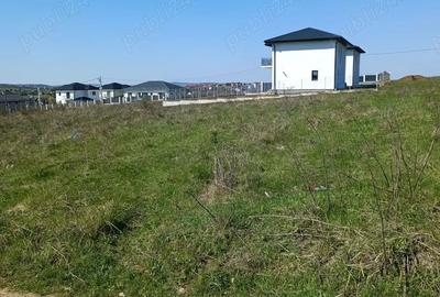 Teren de 1053 mp, în Vișan - 9
