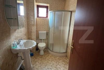 Casă cu Teren 250 Mp în Dorobanți - 4