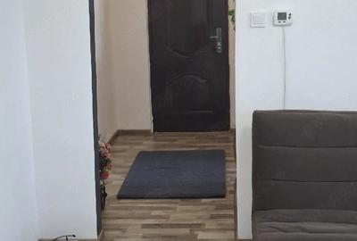 Apartament cu 2 camere decomandat în Sântimbru - 9