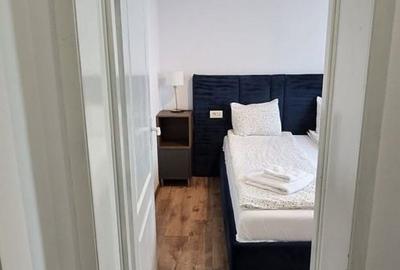 Apartament cu 2 camere decomandat, mobilat în Iosefin - 3