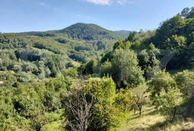 Spațiu comercial, în Poiana Ampoiului - 8