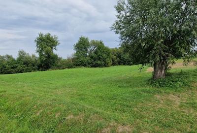 Teren de 5100 mp, în Horodnic - 1