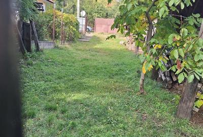 Casă cu Teren 850 Mp în Celnata - 9