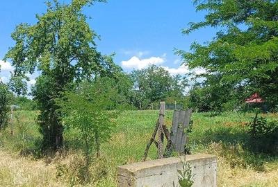 Teren de 1800 mp, în Fântâna Doamnei - 4