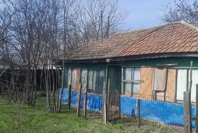 Teren de 5000 mp, în Albeni - 1